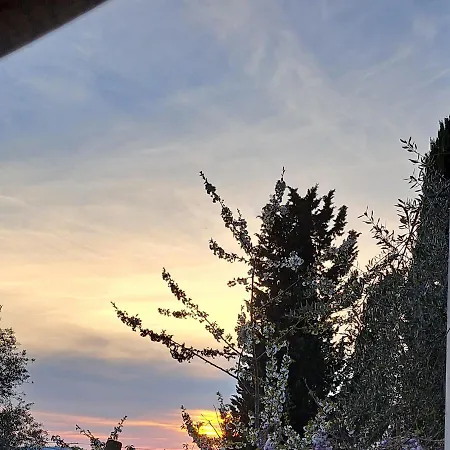 Alba Fiorita * Castiglione dʼOrcia