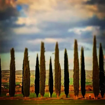 Alba Fiorita Castiglione dʼOrcia